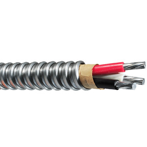 Câble armé AC90 BX 1/3